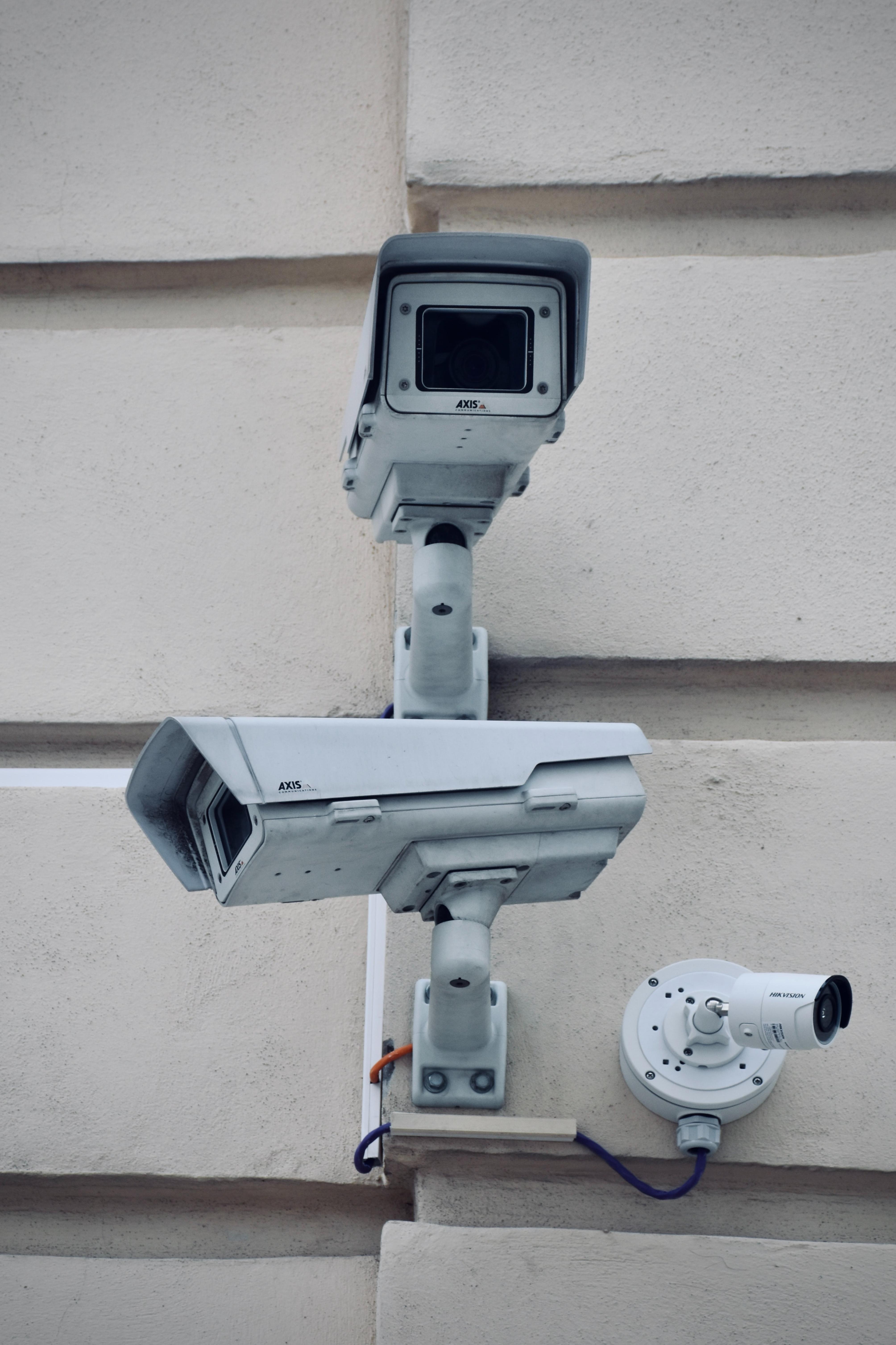 media_63fc92cc7955a.jpg